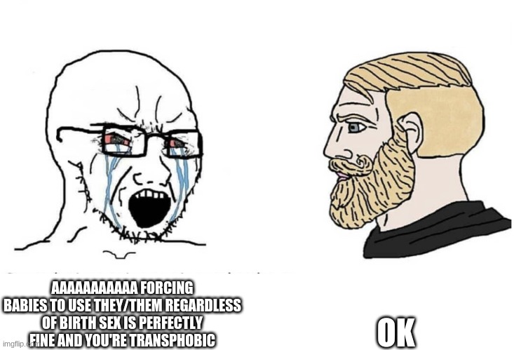 Soyboy Vs Yes Chad | AAAAAAAAAAA FORCING BABIES TO USE THEY/THEM REGARDLESS OF BIRTH SEX IS PERFECTLY FINE AND YOU'RE TRANSPHOBIC OK | image tagged in soyboy vs yes chad | made w/ Imgflip meme maker