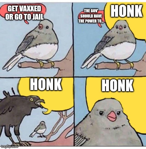 Freedom is winning. | HONK; THE GOV' SHOULD HAVE THE POWER TO... GET VAXXED OR GO TO JAIL; HONK; HONK | image tagged in annoyed bird | made w/ Imgflip meme maker