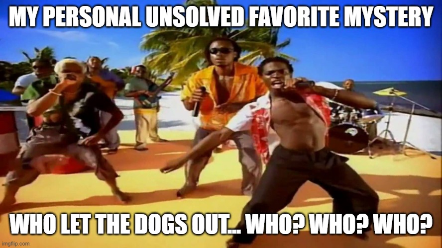 Who let the dogs out  | MY PERSONAL UNSOLVED FAVORITE MYSTERY WHO LET THE DOGS OUT... WHO? WHO? WHO? | image tagged in who let the dogs out | made w/ Imgflip meme maker