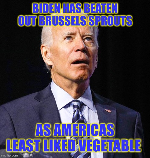 Joe Biden | BIDEN HAS BEATEN OUT BRUSSELS SPROUTS; AS AMERICAS LEAST LIKED VEGETABLE | image tagged in joe biden | made w/ Imgflip meme maker