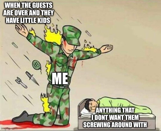 Soldier protecting sleeping child | WHEN THE GUESTS ARE OVER AND THEY HAVE LITTLE KIDS; ME; ANYTHING THAT I DONT WANT THEM SCREWING AROUND WITH | image tagged in soldier protecting sleeping child | made w/ Imgflip meme maker