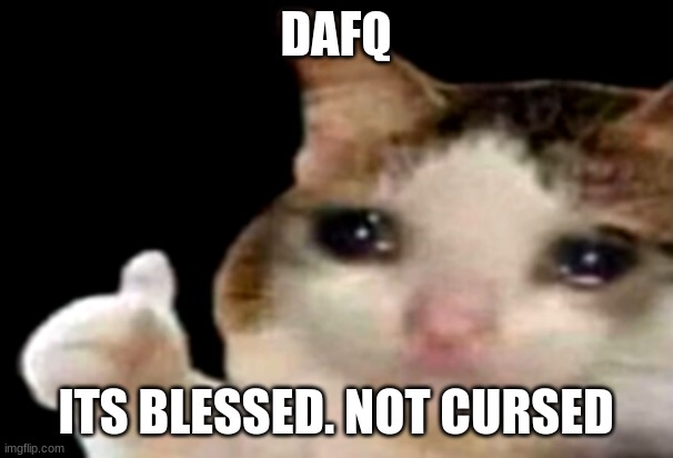 Sad cat thumbs up | DAFQ ITS BLESSED. NOT CURSED | image tagged in sad cat thumbs up | made w/ Imgflip meme maker