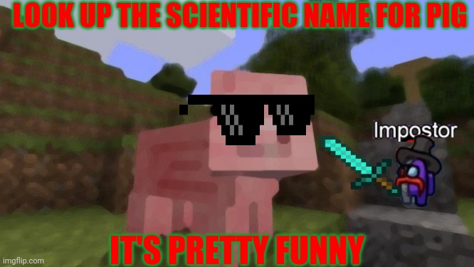 Minecraft Pig | LOOK UP THE SCIENTIFIC NAME FOR PIG; IT'S PRETTY FUNNY | image tagged in minecraft pig | made w/ Imgflip meme maker
