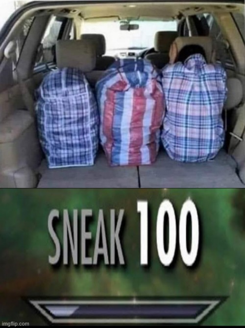 how to smuggle your human | image tagged in sneak 100 | made w/ Imgflip meme maker