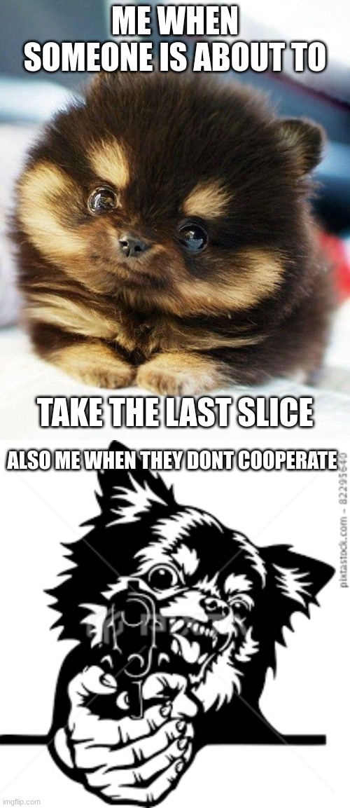 ME WHEN SOMEONE IS ABOUT TO; TAKE THE LAST SLICE; ALSO ME WHEN THEY DONT COOPERATE | image tagged in pomeranian | made w/ Imgflip meme maker