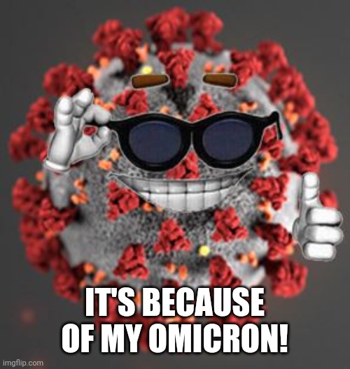 Coronavirus | IT'S BECAUSE OF MY OMICRON! | image tagged in coronavirus | made w/ Imgflip meme maker
