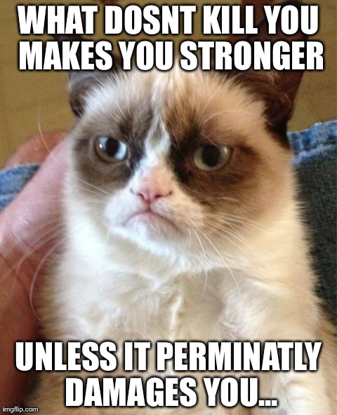 Grumpy Cat Meme | WHAT DOSNT KILL YOU MAKES YOU STRONGER UNLESS IT PERMINATLY DAMAGES YOU... | image tagged in memes,grumpy cat | made w/ Imgflip meme maker