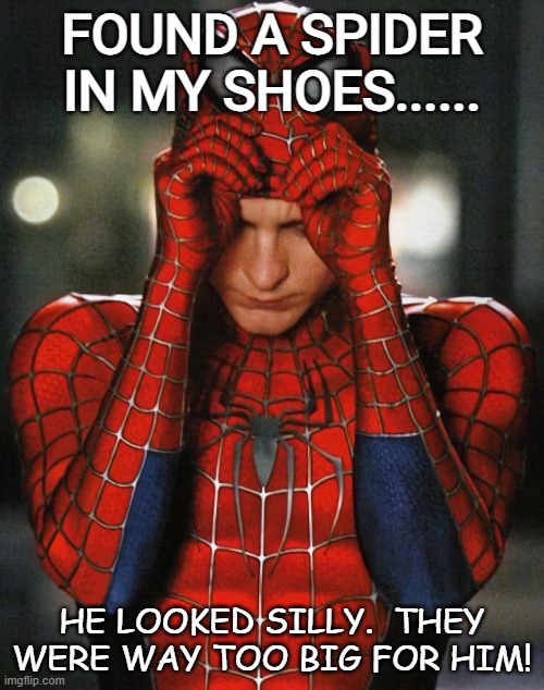 Daily Bad Dad Joke February 2 2022 | FOUND A SPIDER IN MY SHOES...... HE LOOKED SILLY.  THEY WERE WAY TOO BIG FOR HIM! | image tagged in spiderman putting on mask | made w/ Imgflip meme maker