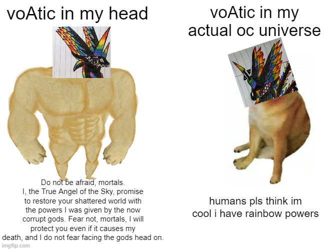 voAtic was honestly one of my cooler characters in concept but now he's just a narsassistic snark. | voAtic in my head; voAtic in my actual oc universe; Do not be afraid, mortals. I, the True Angel of the Sky, promise to restore your shattered world with the powers I was given by the now corrupt gods. Fear not, mortals, I will protect you even if it causes my death, and I do not fear facing the gods head on. humans pls think im cool i have rainbow powers | image tagged in memes,buff doge vs cheems | made w/ Imgflip meme maker