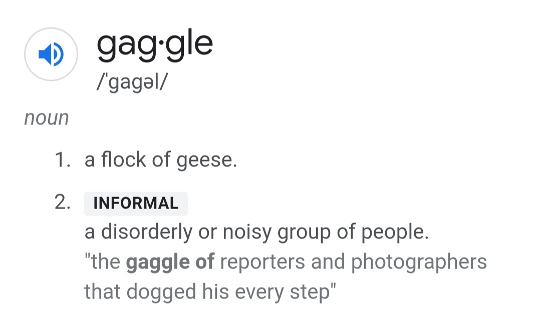 Gaggle Blank Meme Template