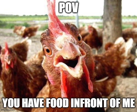 Food | POV; YOU HAVE FOOD INFRONT OF ME | image tagged in chicken | made w/ Imgflip meme maker