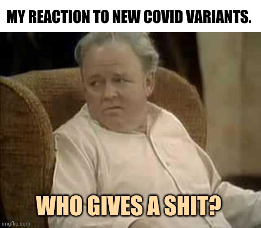 I think a vast majority is done with covid. | MY REACTION TO NEW COVID VARIANTS. WHO GIVES A SHIT? | image tagged in blank white template,who on here really gives a shit | made w/ Imgflip meme maker