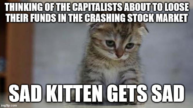 Sad kitten thinking about the stock market | THINKING OF THE CAPITALISTS ABOUT TO LOOSE
THEIR FUNDS IN THE CRASHING STOCK MARKET; SAD KITTEN GETS SAD | image tagged in sad kitten,stock market,because capitalism,crash,trainwreck,wealth | made w/ Imgflip meme maker