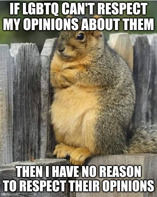 Annoyed Squirrel | IF LGBTQ CAN'T RESPECT MY OPINIONS ABOUT THEM; THEN I HAVE NO REASON TO RESPECT THEIR OPINIONS | image tagged in annoyed squirrel | made w/ Imgflip meme maker