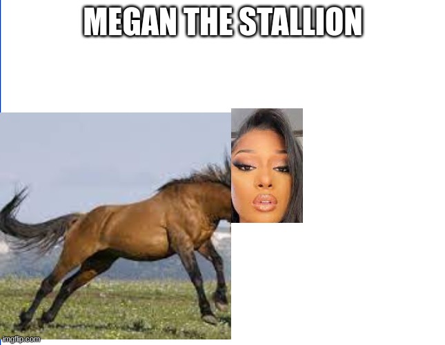 megan | MEGAN THE STALLION | image tagged in memes | made w/ Imgflip meme maker