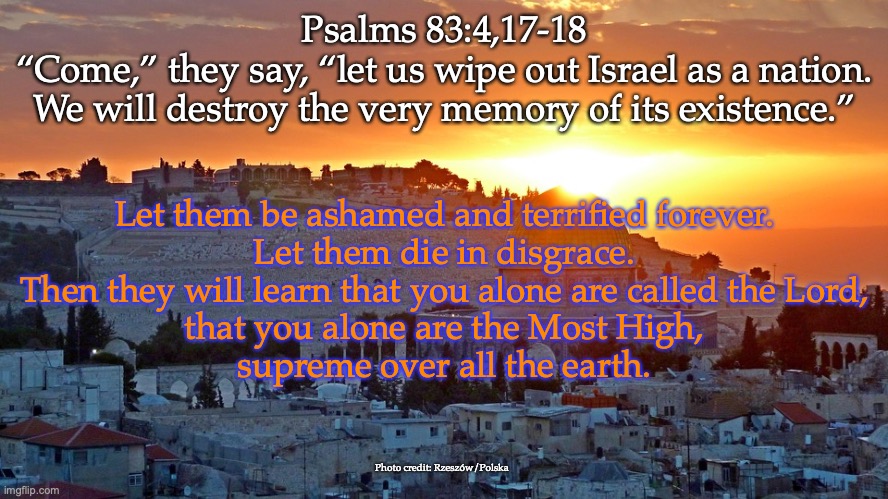 O God, do not be silent! | Psalms 83:4,17-18
“Come,” they say, “let us wipe out Israel as a nation.
We will destroy the very memory of its existence.”; Let them be ashamed and terrified forever.
Let them die in disgrace.
Then they will learn that you alone are called the Lord,
that you alone are the Most High,
supreme over all the earth. Photo credit: Rzeszów/Polska | image tagged in submit to the lord | made w/ Imgflip meme maker