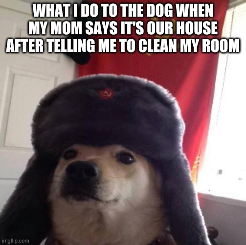 I rlly need to do this next time | WHAT I DO TO THE DOG WHEN MY MOM SAYS IT'S OUR HOUSE AFTER TELLING ME TO CLEAN MY ROOM | image tagged in russian doge | made w/ Imgflip meme maker