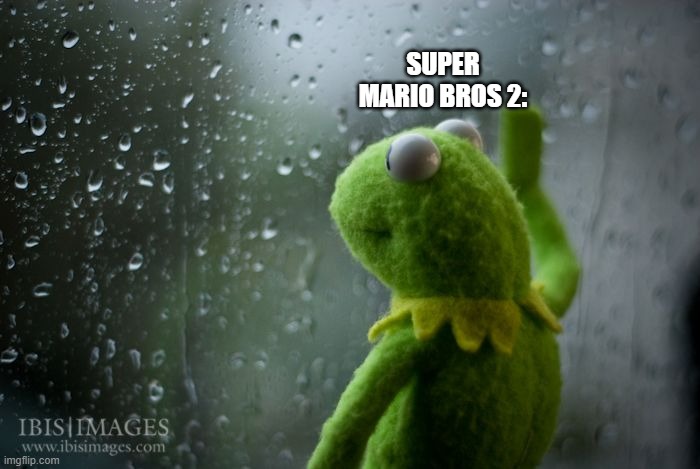 kermit window | SUPER MARIO BROS 2: | image tagged in kermit window | made w/ Imgflip meme maker