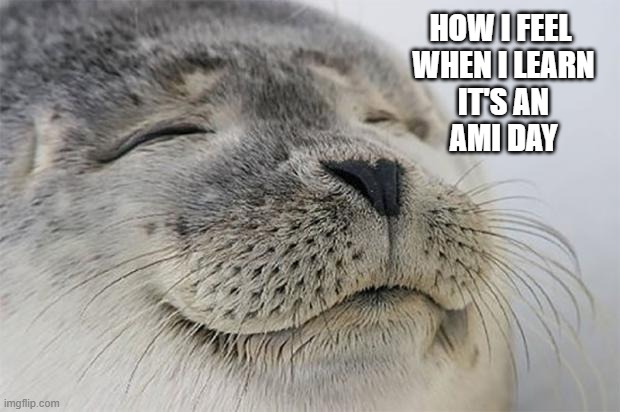 Satisfied Seal | HOW I FEEL 
WHEN I LEARN
 IT'S AN 
AMI DAY | image tagged in memes,satisfied seal | made w/ Imgflip meme maker