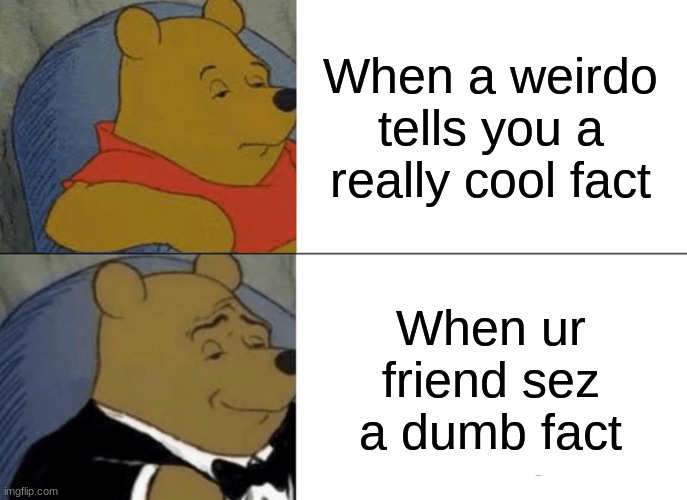 Anyone relate? | When a weirdo tells you a really cool fact; When ur friend sez a dumb fact | image tagged in memes,tuxedo winnie the pooh | made w/ Imgflip meme maker