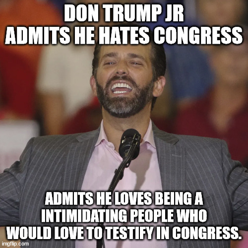 Don trump jr admits he hates congress | DON TRUMP JR ADMITS HE HATES CONGRESS; ADMITS HE LOVES BEING A INTIMIDATING PEOPLE WHO WOULD LOVE TO TESTIFY IN CONGRESS. | image tagged in intimidation,january 6,maga,congress | made w/ Imgflip meme maker