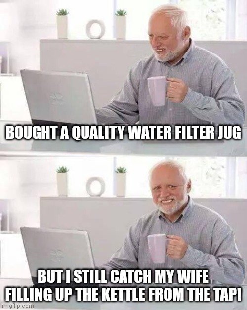 Funny | BOUGHT A QUALITY WATER FILTER JUG; BUT I STILL CATCH MY WIFE FILLING UP THE KETTLE FROM THE TAP! | image tagged in memes,hide the pain harold | made w/ Imgflip meme maker