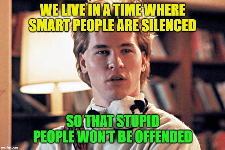 Genius | WE LIVE IN A TIME WHERE SMART PEOPLE ARE SILENCED; SO THAT STUPID PEOPLE WON’T BE OFFENDED | image tagged in genius | made w/ Imgflip meme maker