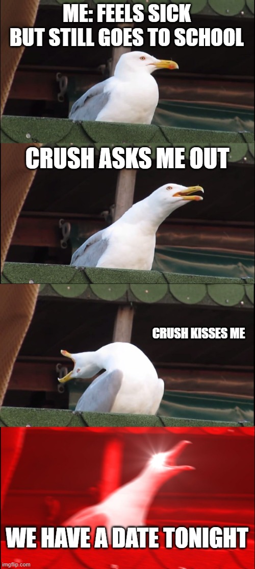 Inhaling Seagull | ME: FEELS SICK BUT STILL GOES TO SCHOOL; CRUSH ASKS ME OUT; CRUSH KISSES ME; WE HAVE A DATE TONIGHT | image tagged in memes,inhaling seagull | made w/ Imgflip meme maker