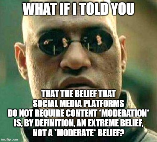 Words Mean Things | WHAT IF I TOLD YOU; THAT THE BELIEF THAT
SOCIAL MEDIA PLATFORMS
DO NOT REQUIRE CONTENT *MODERATION*
IS, BY DEFINITION, AN EXTREME BELIEF,
NOT A *MODERATE* BELIEF? | image tagged in what if i told you,social media,misinformation,moderators,extreme,words | made w/ Imgflip meme maker