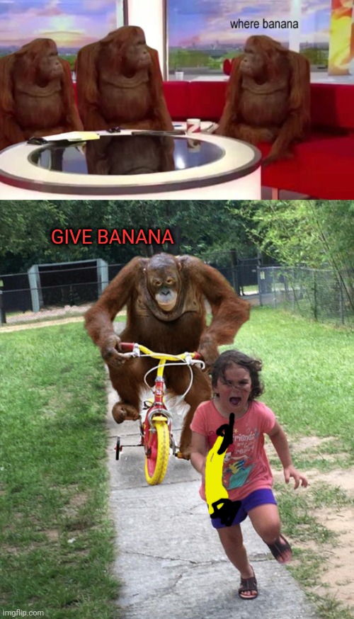 Uh- | GIVE BANANA | image tagged in where banana,orangutan chasing girl on a tricycle | made w/ Imgflip meme maker