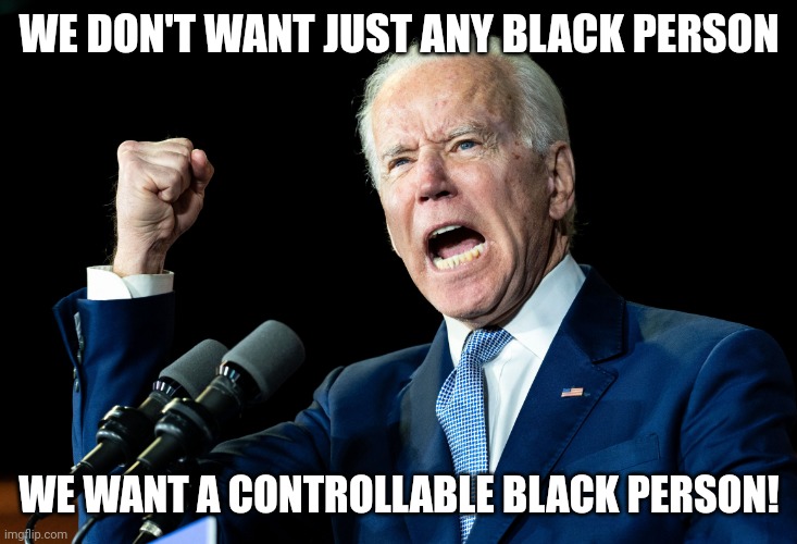 Joe Biden - Nap Times for EVERYONE! | WE DON'T WANT JUST ANY BLACK PERSON WE WANT A CONTROLLABLE BLACK PERSON! | image tagged in joe biden - nap times for everyone | made w/ Imgflip meme maker