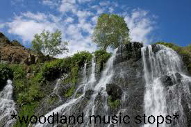 Woodland music stops Blank Meme Template