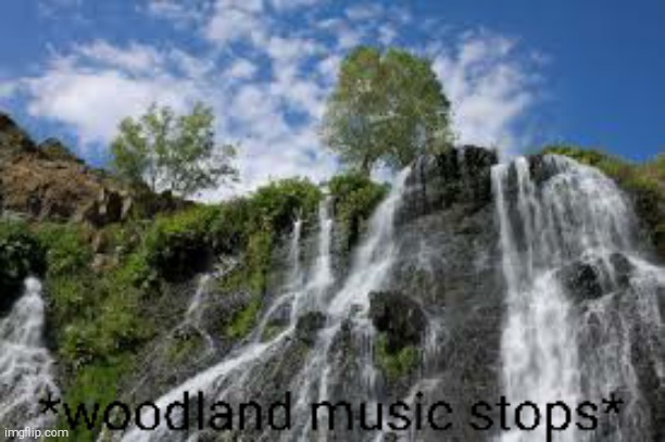 link in comments | image tagged in woodland music stops | made w/ Imgflip meme maker