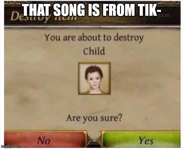 You are about to destroy Child | THAT SONG IS FROM TIK- | image tagged in you are about to destroy child | made w/ Imgflip meme maker