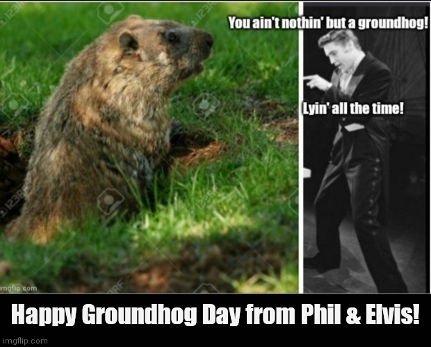 Groundhog Day | Happy Groundhog Day from Phil & Elvis! | image tagged in funny | made w/ Imgflip meme maker