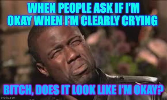 WHEN PEOPLE ASK IF I’M OKAY WHEN I’M CLEARLY CRYING; BITCH, DOES IT LOOK LIKE I’M OKAY? | image tagged in funny meme | made w/ Imgflip meme maker