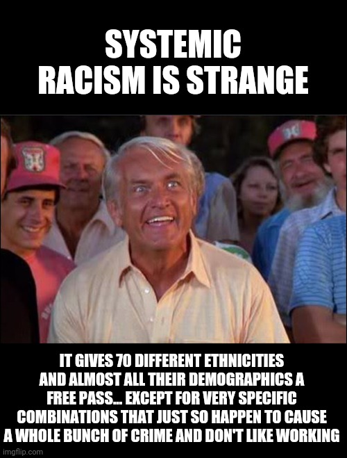 Well we're waiting | SYSTEMIC RACISM IS STRANGE; IT GIVES 70 DIFFERENT ETHNICITIES AND ALMOST ALL THEIR DEMOGRAPHICS A FREE PASS... EXCEPT FOR VERY SPECIFIC COMBINATIONS THAT JUST SO HAPPEN TO CAUSE A WHOLE BUNCH OF CRIME AND DON'T LIKE WORKING | image tagged in well we're waiting | made w/ Imgflip meme maker