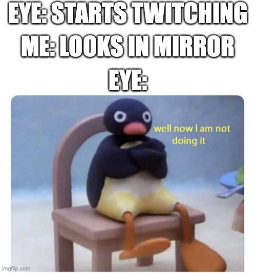 well now I am not doing it | EYE: STARTS TWITCHING; ME: LOOKS IN MIRROR; EYE: | image tagged in well now i am not doing it | made w/ Imgflip meme maker