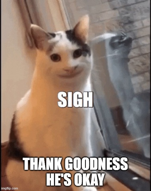 Thank goodness he's okay. | THANK GOODNESS HE'S OKAY | image tagged in disappointed cat,sigh,thank god,ok,reaction,cats | made w/ Imgflip meme maker