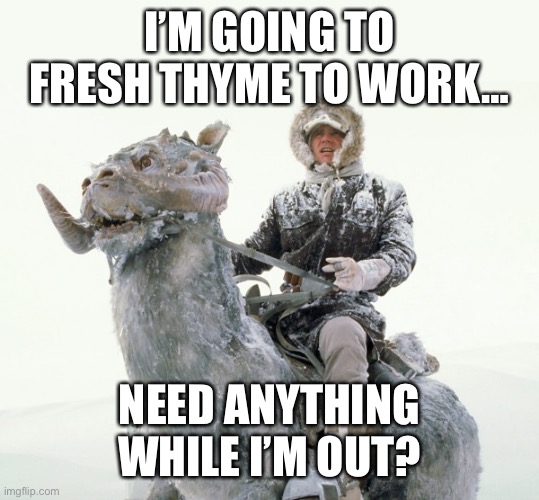 Han on Hoth | I’M GOING TO FRESH THYME TO WORK…; NEED ANYTHING WHILE I’M OUT? | image tagged in han on hoth | made w/ Imgflip meme maker