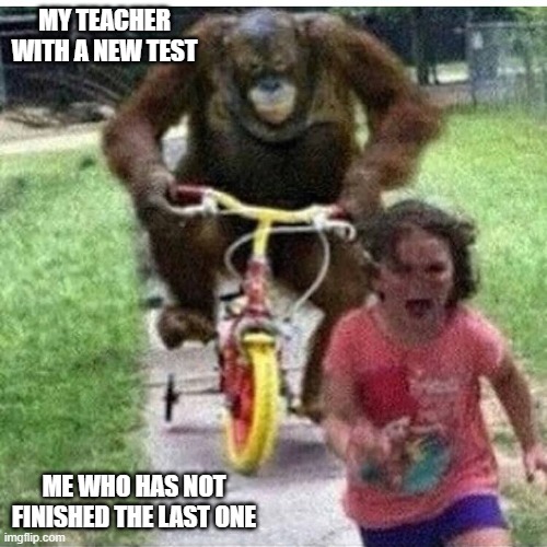funny | MY TEACHER WITH A NEW TEST; ME WHO HAS NOT FINISHED THE LAST ONE | image tagged in school meme | made w/ Imgflip meme maker
