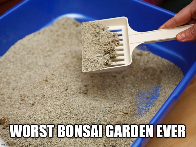 Worst Bonsai Garden | WORST BONSAI GARDEN EVER | image tagged in cat litter,bonsai garden | made w/ Imgflip meme maker