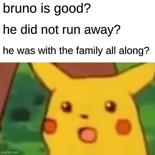 bruno? | bruno is good? he did not run away? he was with the family all along? | image tagged in memes,surprised pikachu | made w/ Imgflip meme maker