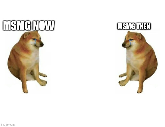 Cheems vs Cheems | MSMG THEN; MSMG NOW | image tagged in cheems vs cheems | made w/ Imgflip meme maker