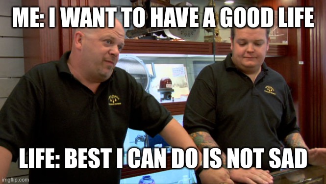 Lol | ME: I WANT TO HAVE A GOOD LIFE; LIFE: BEST I CAN DO IS NOT SAD | image tagged in pawn stars best i can do | made w/ Imgflip meme maker