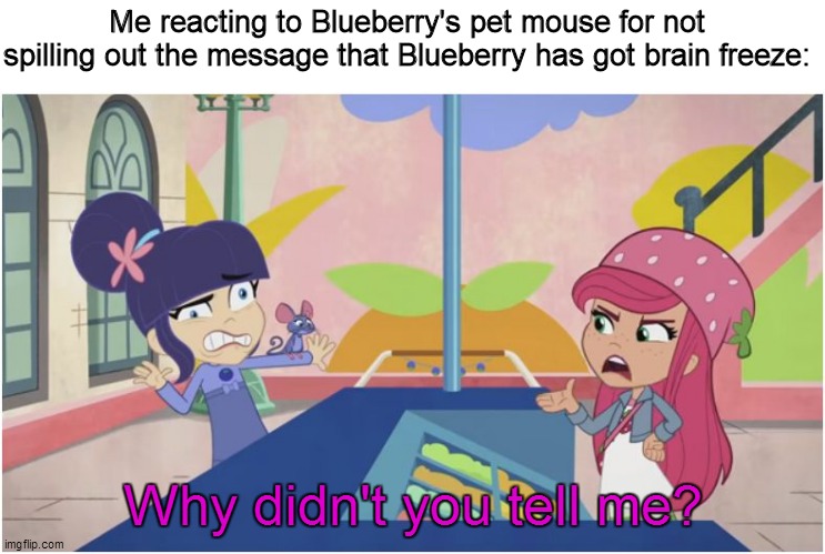 Proof why pet mice can't talk human English | Me reacting to Blueberry's pet mouse for not spilling out the message that Blueberry has got brain freeze:; Why didn't you tell me? | image tagged in funny memes,memes,so true memes,strawberry shortcake,strawberry shortcake berry in the big city | made w/ Imgflip meme maker