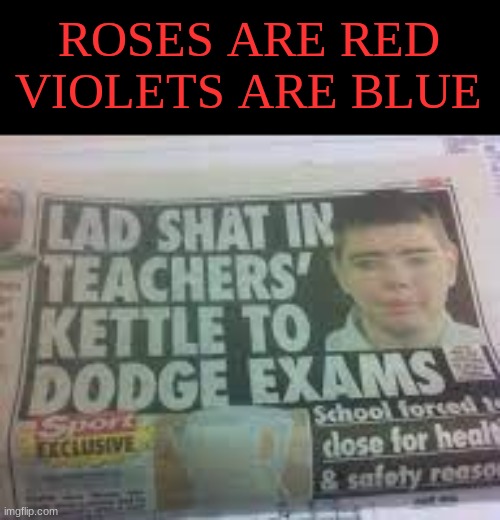 funny meme | ROSES ARE RED VIOLETS ARE BLUE | image tagged in roses are red violets are are blue,funny newspaper,newspaper | made w/ Imgflip meme maker