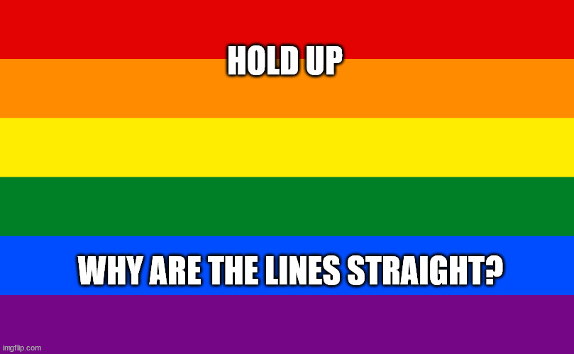 Pride flag |  HOLD UP; WHY ARE THE LINES STRAIGHT? | image tagged in pride flag | made w/ Imgflip meme maker