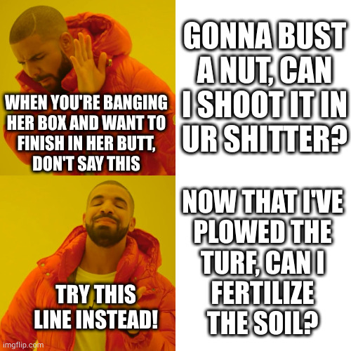 The judges would have also accepted "can I come where you go?" | GONNA BUST A NUT, CAN I SHOOT IT IN
UR SHITTER? WHEN YOU'RE BANGING
HER BOX AND WANT TO
FINISH IN HER BUTT,
DON'T SAY THIS; NOW THAT I'VE
PLOWED THE
TURF, CAN I
FERTILIZE
THE SOIL? TRY THIS LINE INSTEAD! | image tagged in memes,drake hotline bling | made w/ Imgflip meme maker