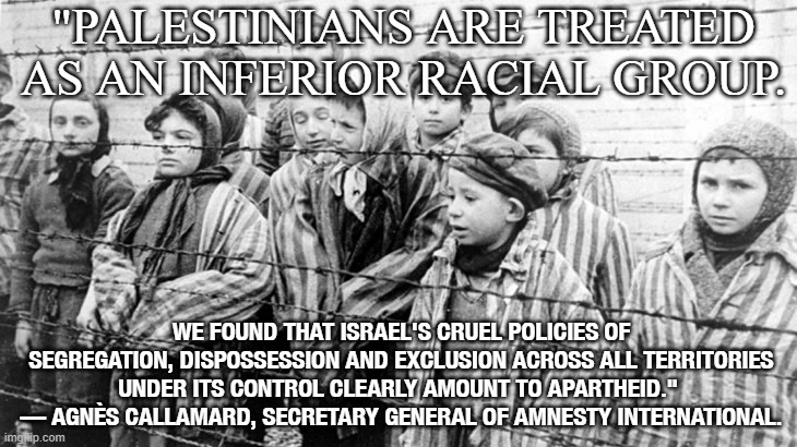 "Palestinians are treated as an inferior racial group." — Agnès Callamard, Secretary General of Amnesty International. | "PALESTINIANS ARE TREATED AS AN INFERIOR RACIAL GROUP. WE FOUND THAT ISRAEL'S CRUEL POLICIES OF SEGREGATION, DISPOSSESSION AND EXCLUSION ACROSS ALL TERRITORIES UNDER ITS CONTROL CLEARLY AMOUNT TO APARTHEID." 
— AGNÈS CALLAMARD, SECRETARY GENERAL OF AMNESTY INTERNATIONAL. | image tagged in white holocaust privilege | made w/ Imgflip meme maker